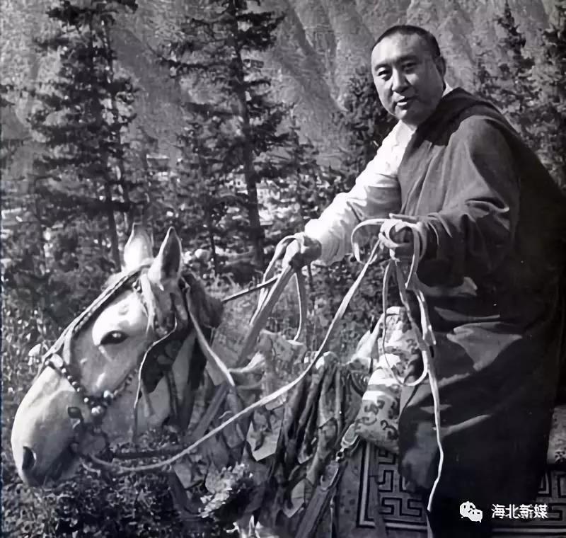 1540172452926818.jpg 8.jpg