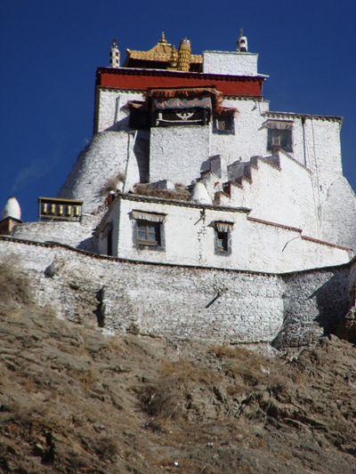 1543205506336065.jpg 1.jpg