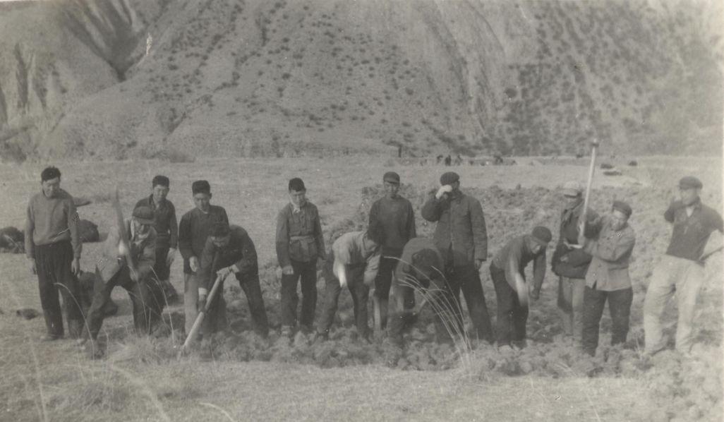 1545311134504344.jpg 4.jpg