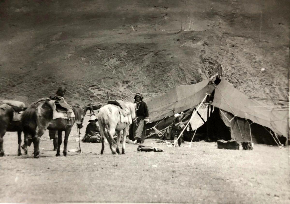 1546347048338874.jpg 1.jpg