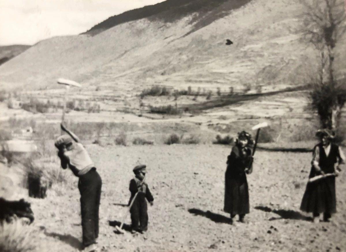 1546347071329390.jpg 2.jpg