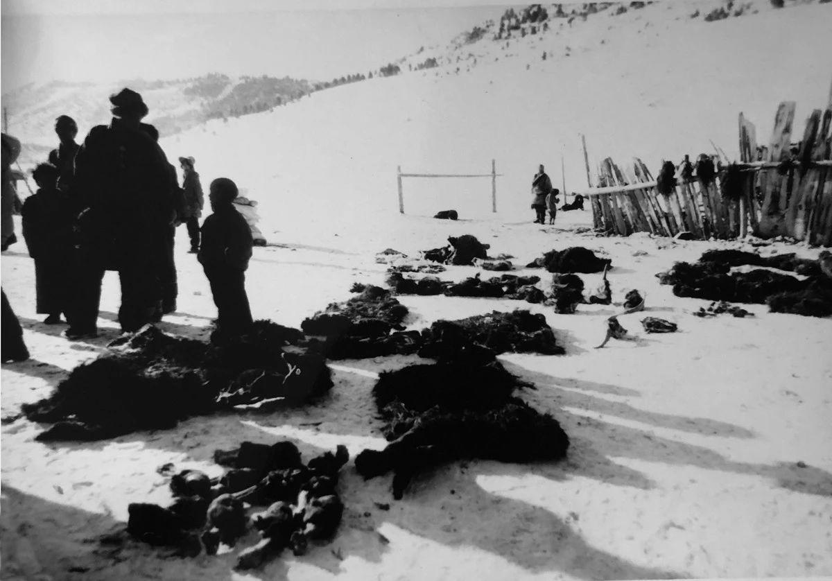 1546347342758868.jpg 17.jpg