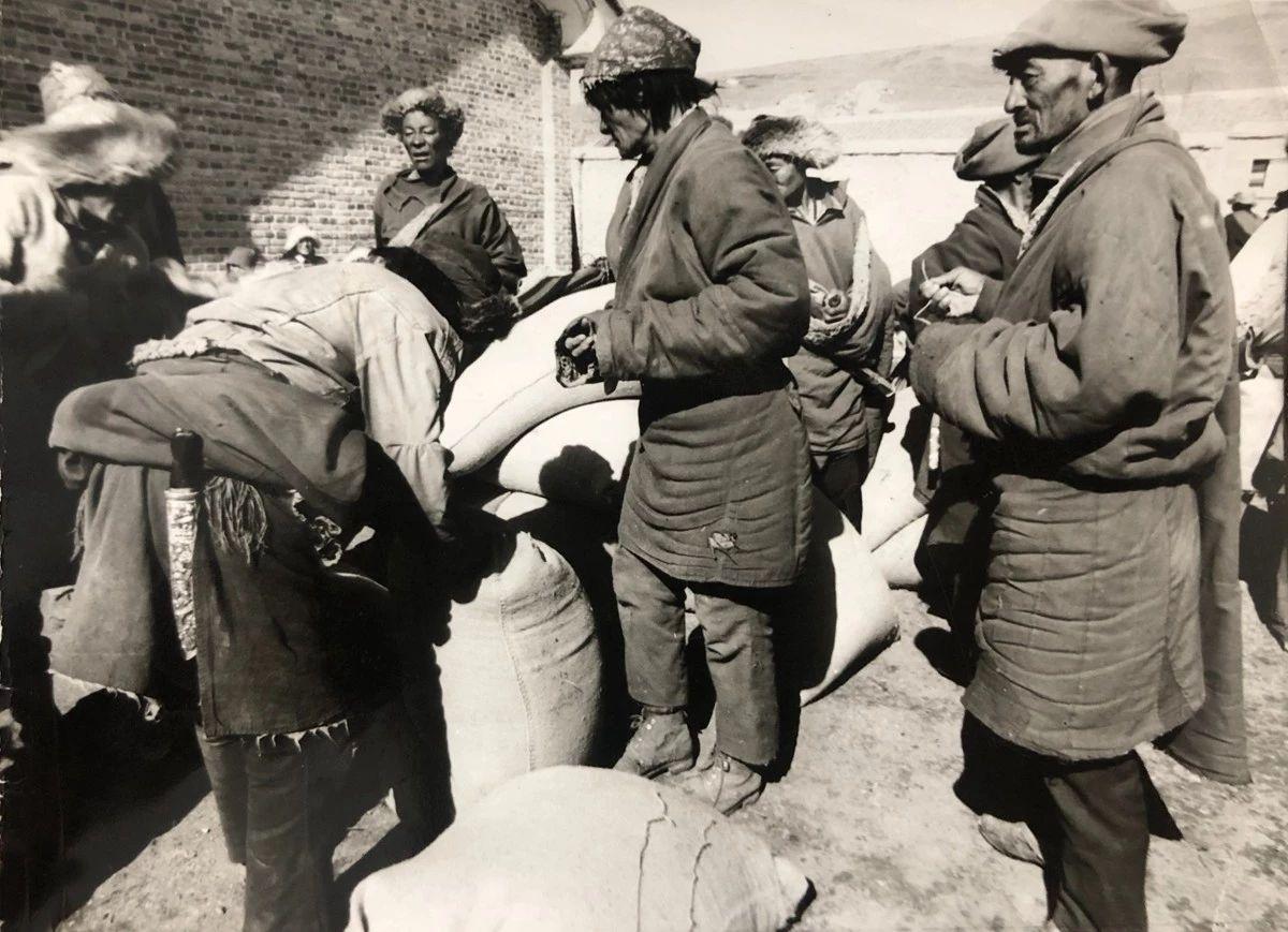 1546347358826064.jpg 18.jpg