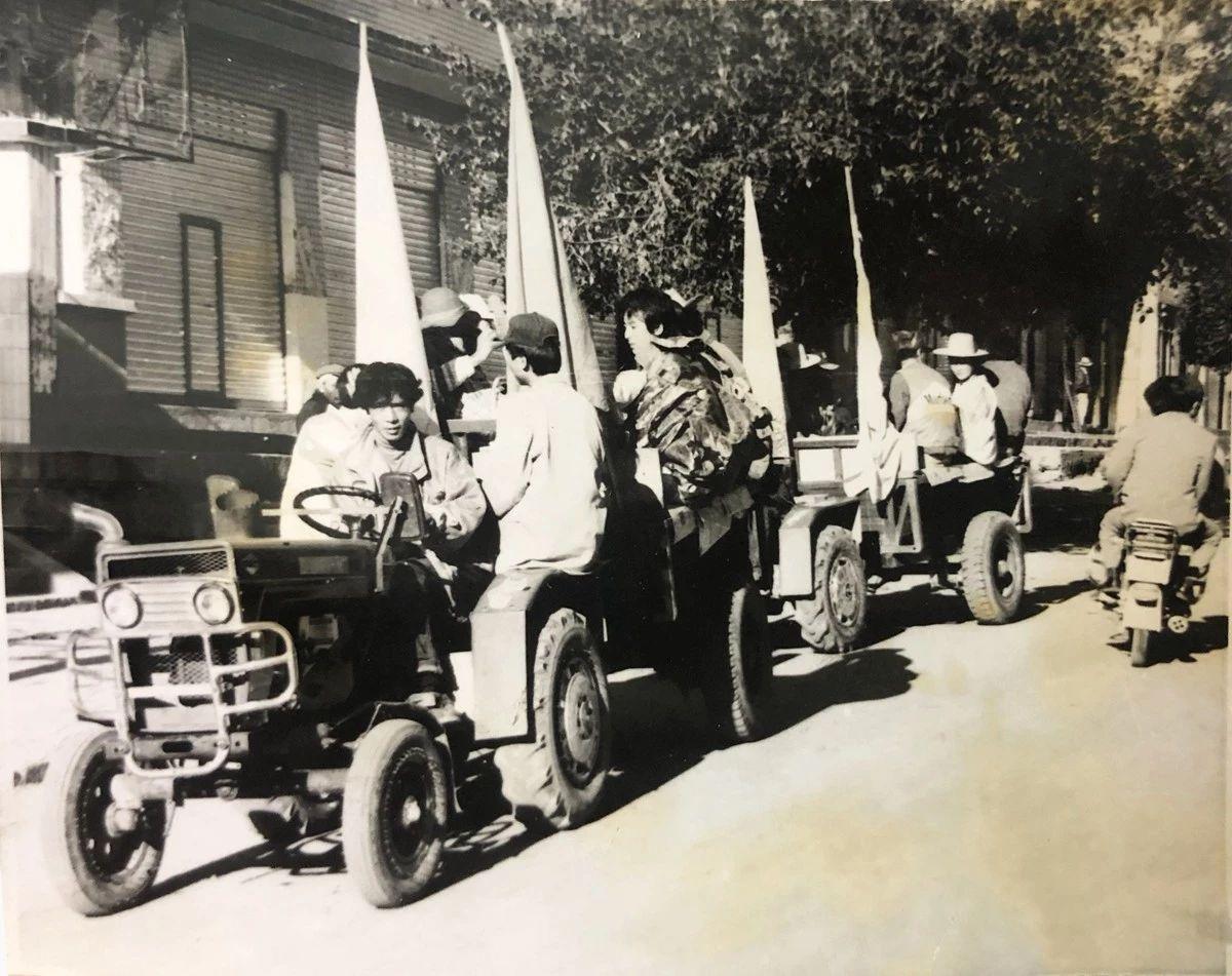 1546347401344509.jpg 19.jpg