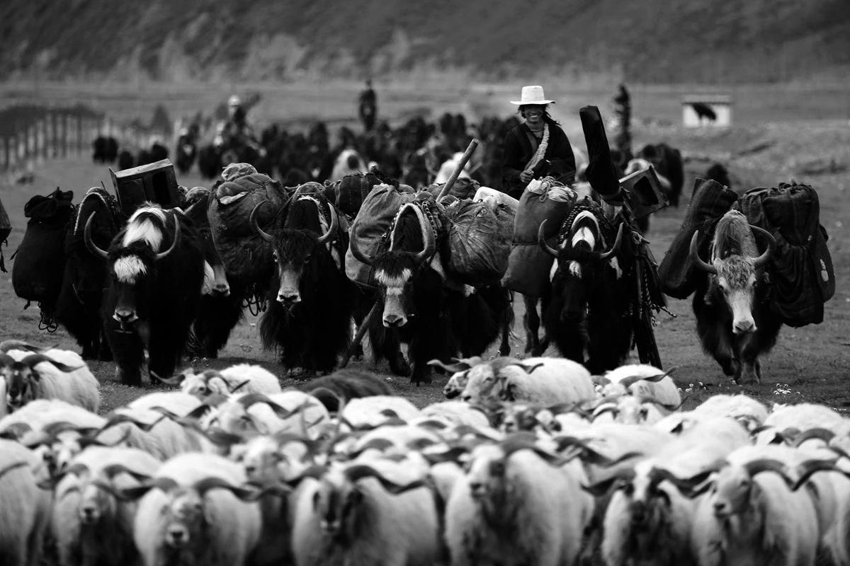 1546347616772627.jpg 27.jpg