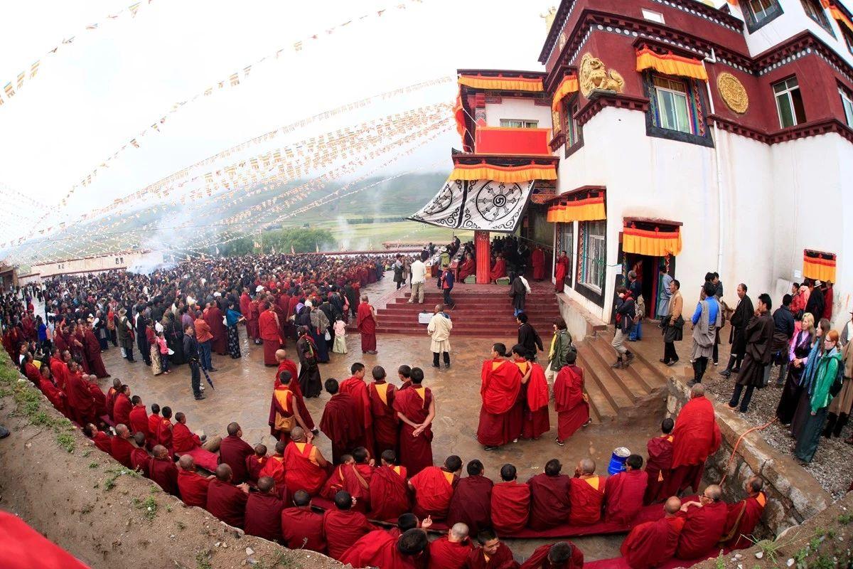 1546348532312789.jpg 43.jpg