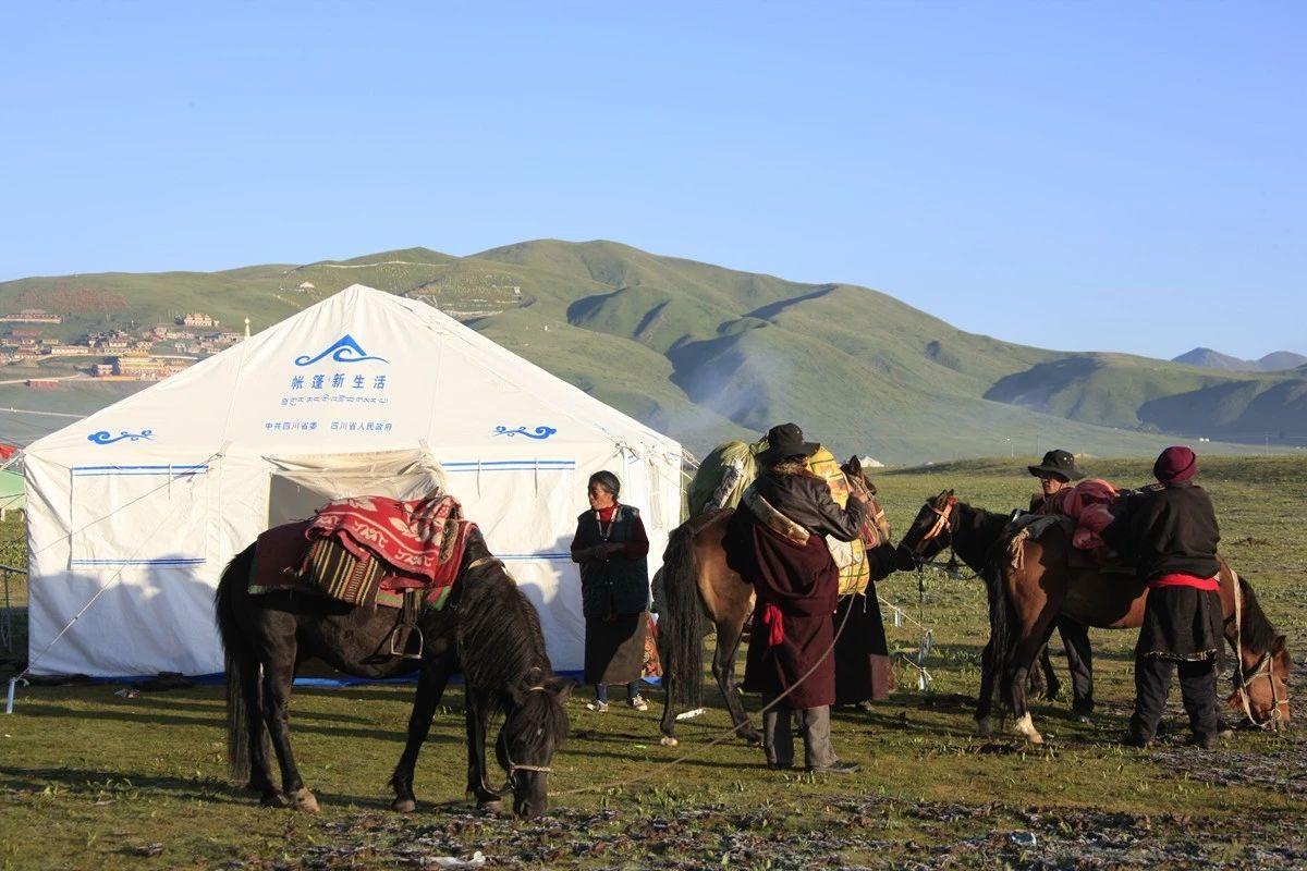 1546348574392908.jpg 46.jpg