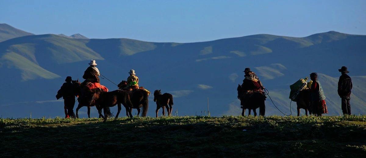 1546348584377612.jpg 47.jpg