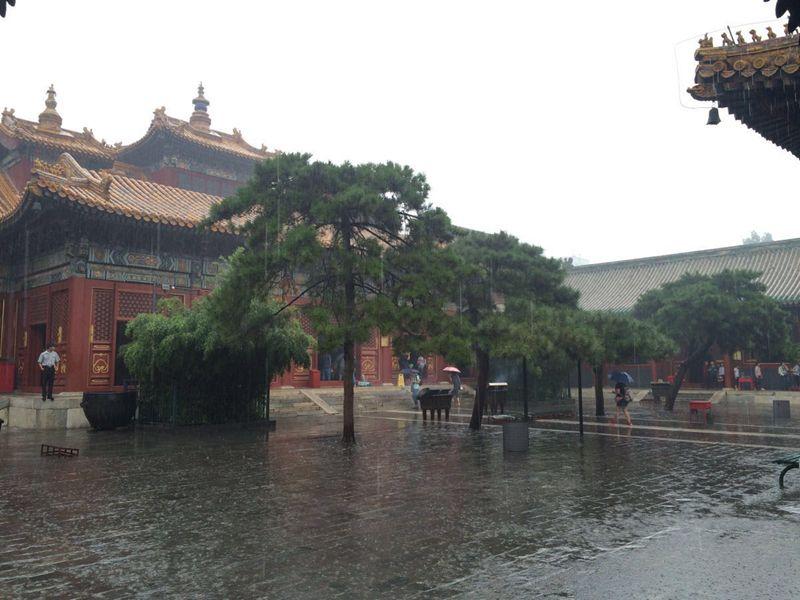 1546516829839320.jpg 2.jpg