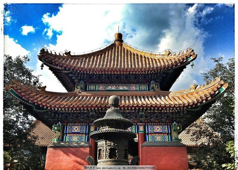 1546516846236877.jpg 3.jpg