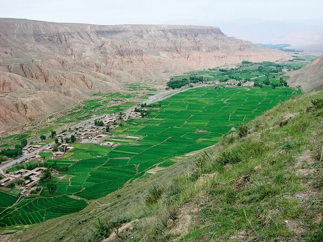 1548418784354106.jpg 1.JPG