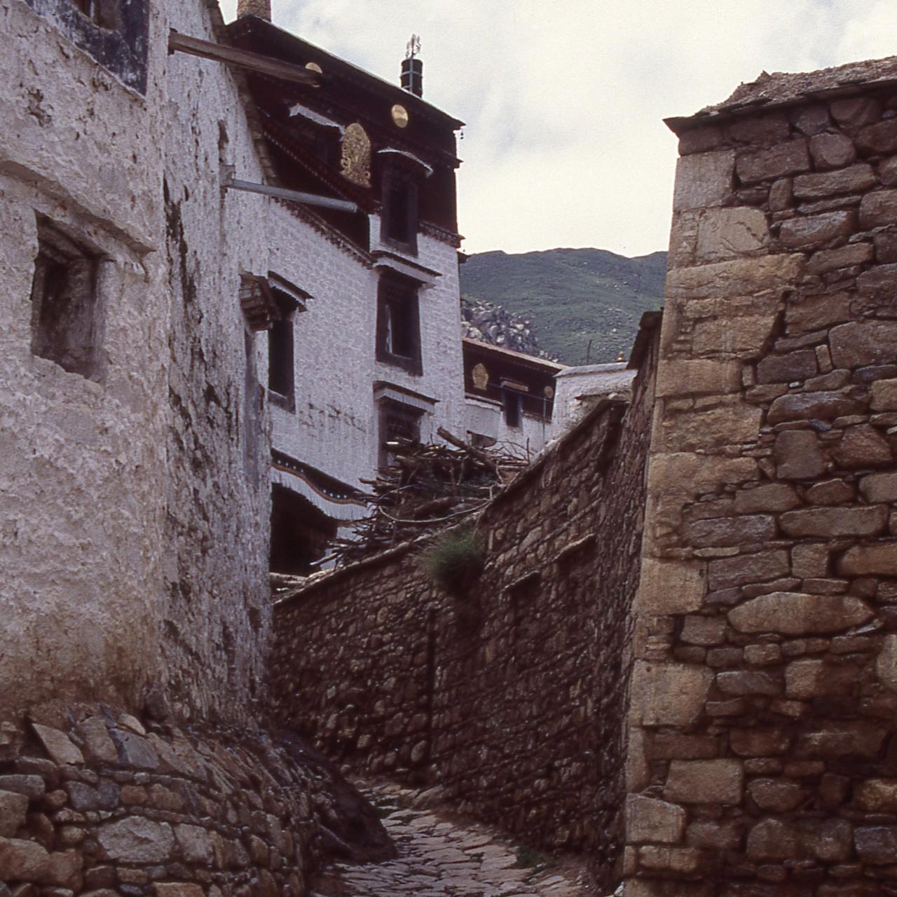 1549082340205476.jpg 7.jpg