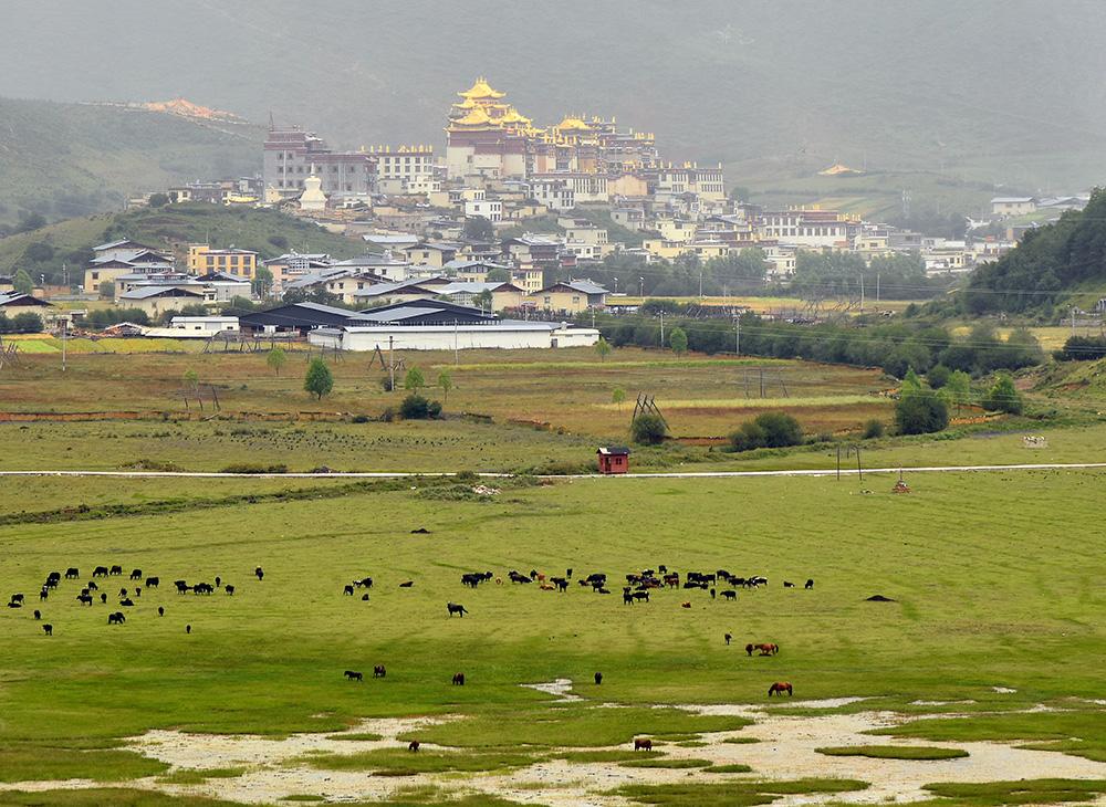 1559118657103368.jpg 香格里拉噶丹?松贊林寺。張國華 攝DSC_3162_.jpg