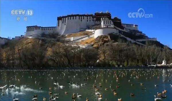 1562291450283834.jpg 1.jpg