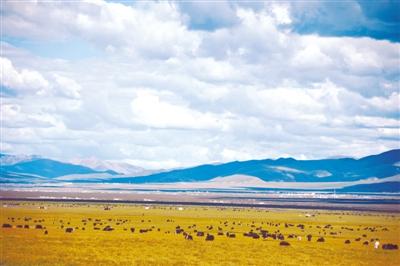 1472606735641019.jpg res01_attpic_brief (5).jpg