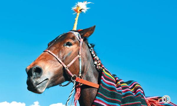 1472606751544816.jpg 2016-08-31_092427.jpg