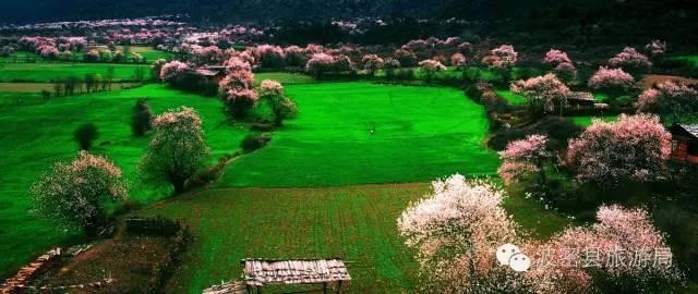 1478739268337104.jpg IMG_1200.JPG