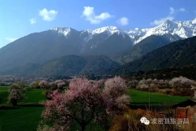 1478739363735627.jpg IMG_1204.JPG