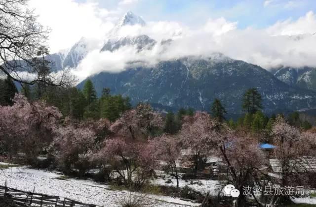 1478739453624833.jpg IMG_1207.JPG