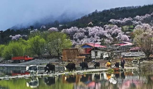 1478739462942369.jpg IMG_1208.JPG