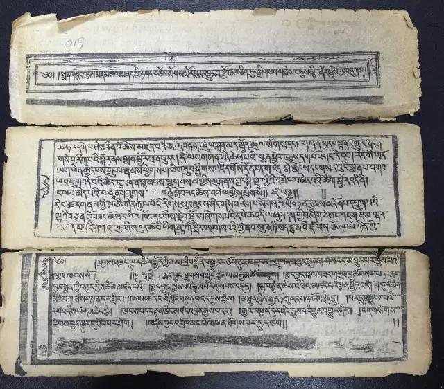 1491800527670618.jpg 5.jpg