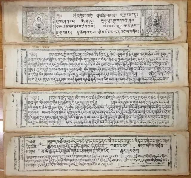 1491800564714337.jpg 9.jpg