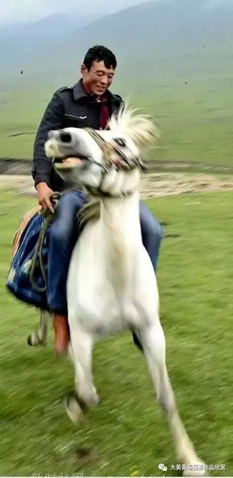 1499075162352231.jpg 7.jpg