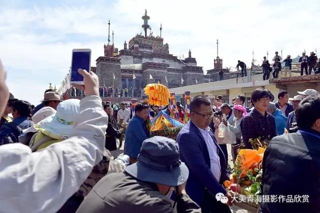 1499075547999031.jpg 15.jpg