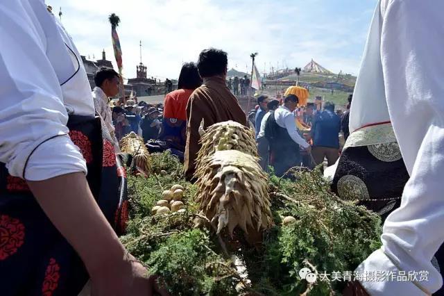 1499075562925602.jpg 18.jpg