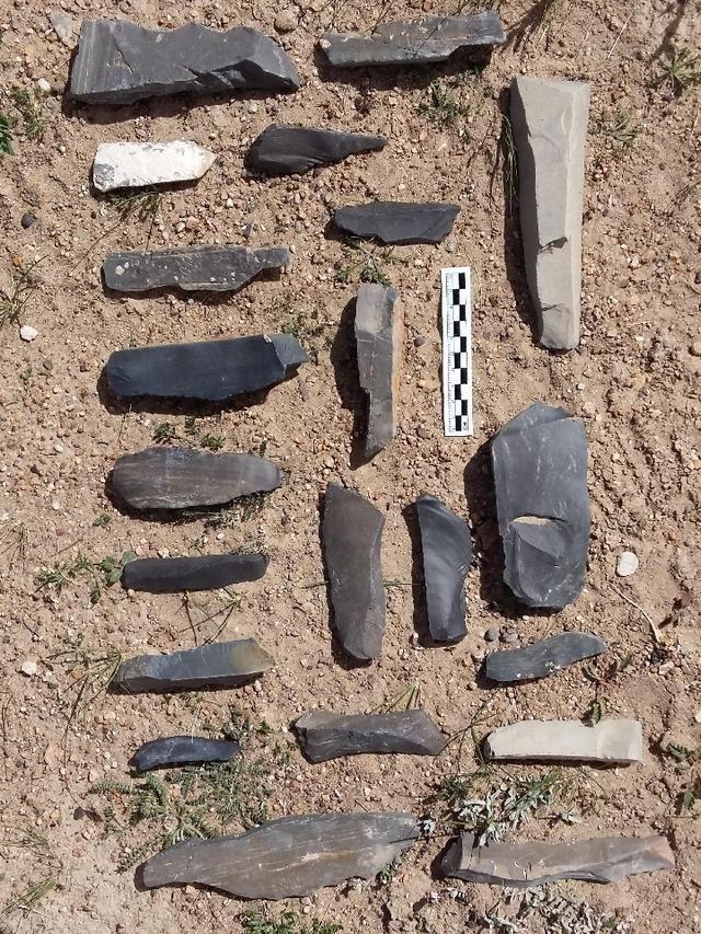 1543575892287011.jpg 1.jpg