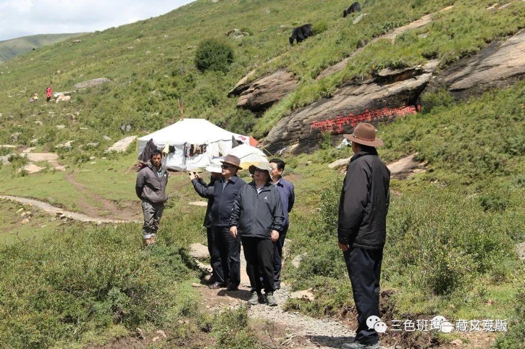 1565765682741021.jpg 6.jpg