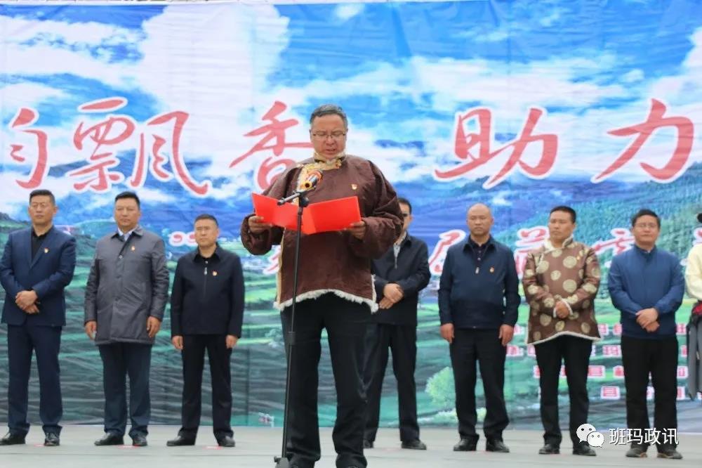 1591679558991332.jpg 4.jpg