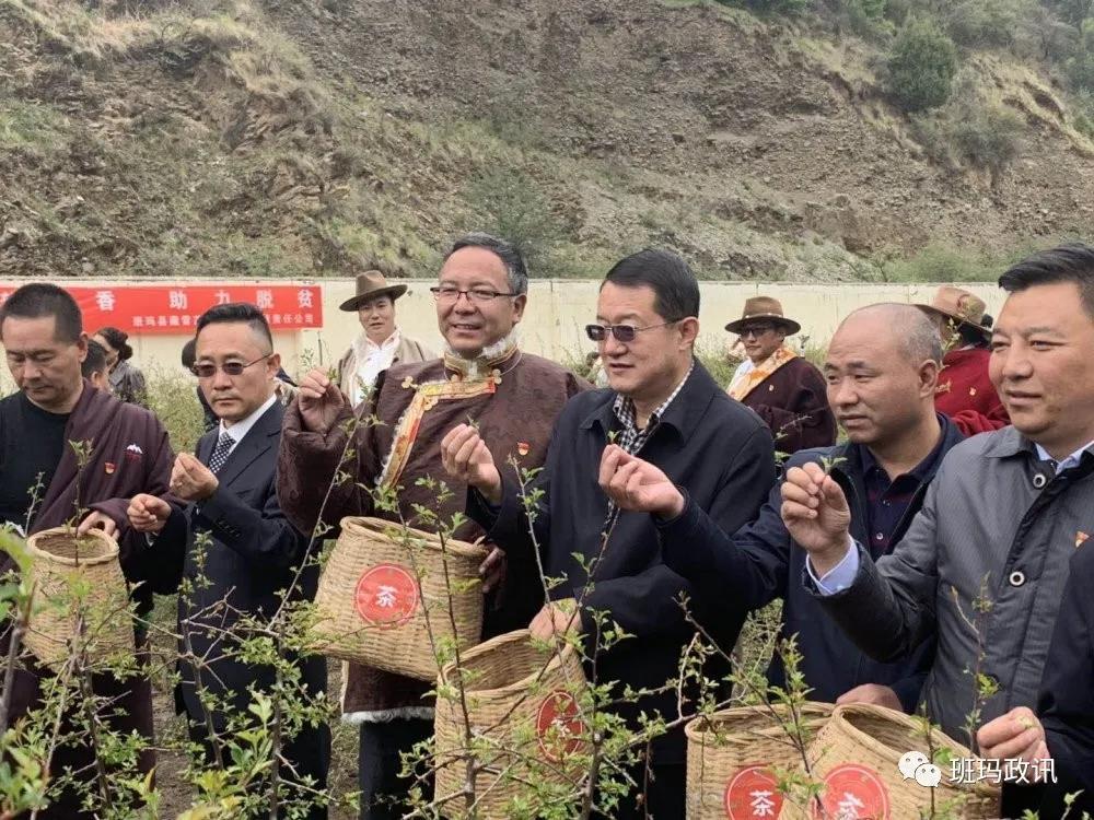 1591679609358772.jpg 8.jpg