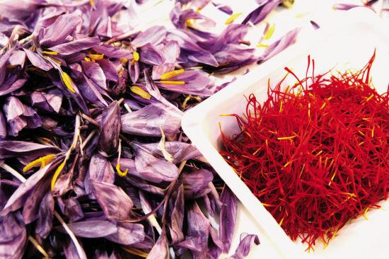 1483495011483022.jpg 20141112045723598.jpg