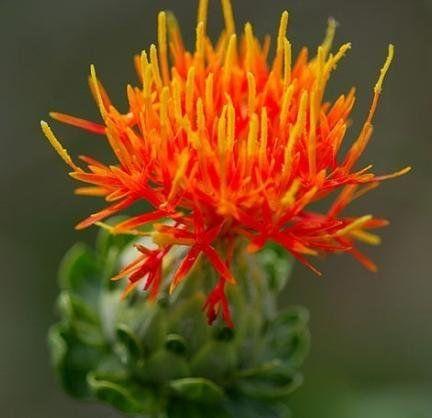 1483495055451423.jpg U11420P1333DT20150130103441.jpg