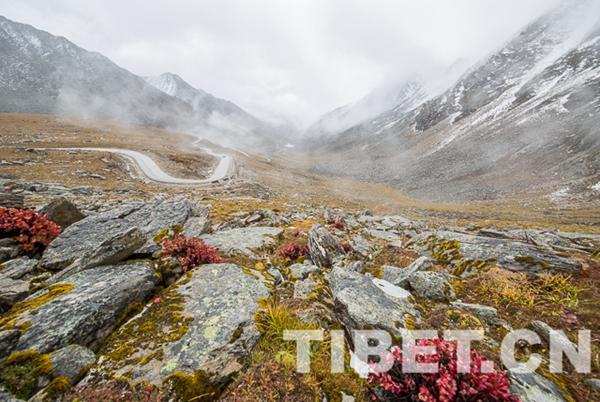 1528422241485238.jpg W020180607802123288583.jpg