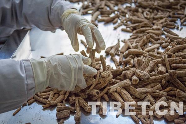 1528422252117162.jpg W020180607802123435775.jpg