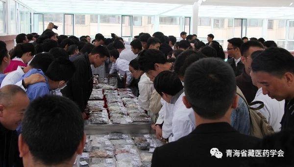 1557123293428253.jpg 5.jpg