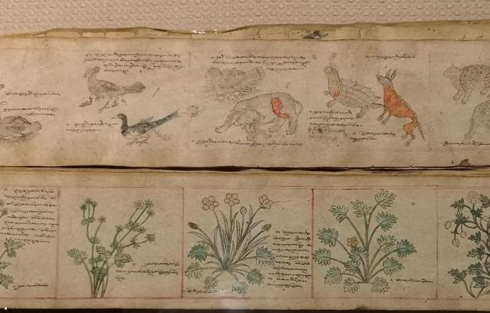 1579059180758761.jpg 2.jpg